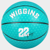 Peak Andrew Wiggins Signature Composite Indoor/Outdoor Basketball Sz. 7 Peacock Green